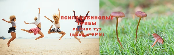 кокс Аркадак